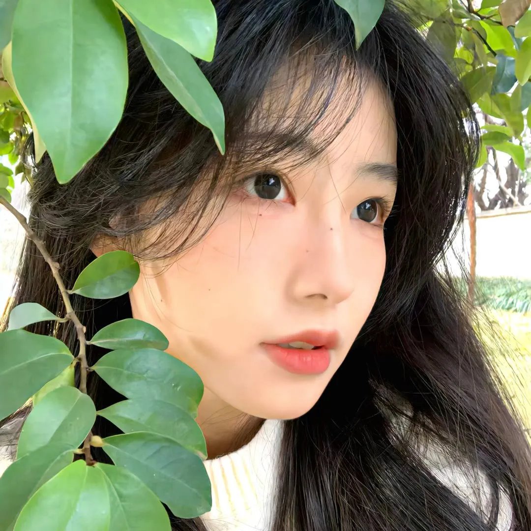 完美的日子